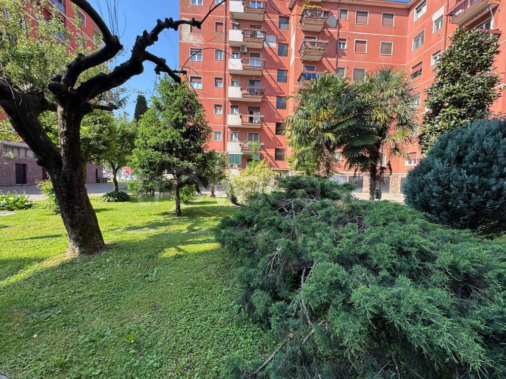 immagine annuncio 1 di 14