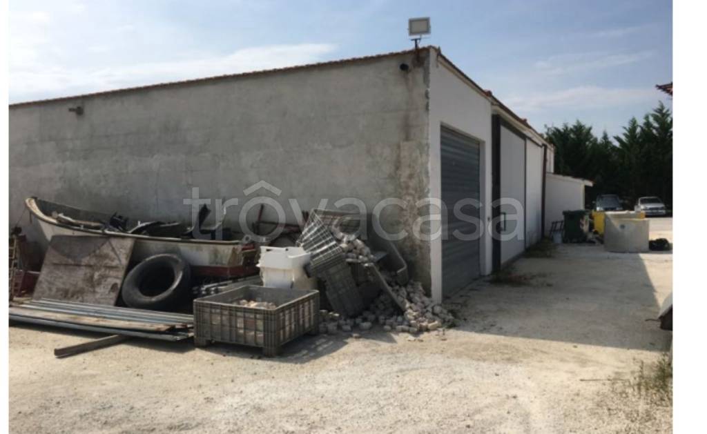 immagine annuncio 4 di 12