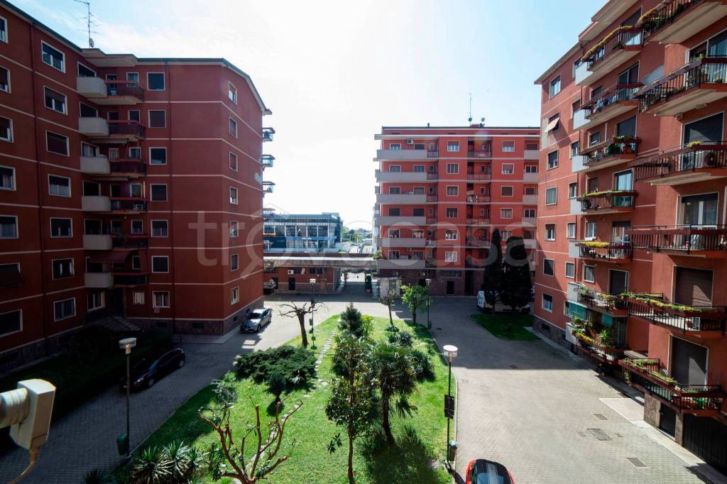 immagine annuncio 2 di 14