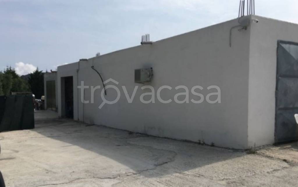 immagine annuncio 5 di 12