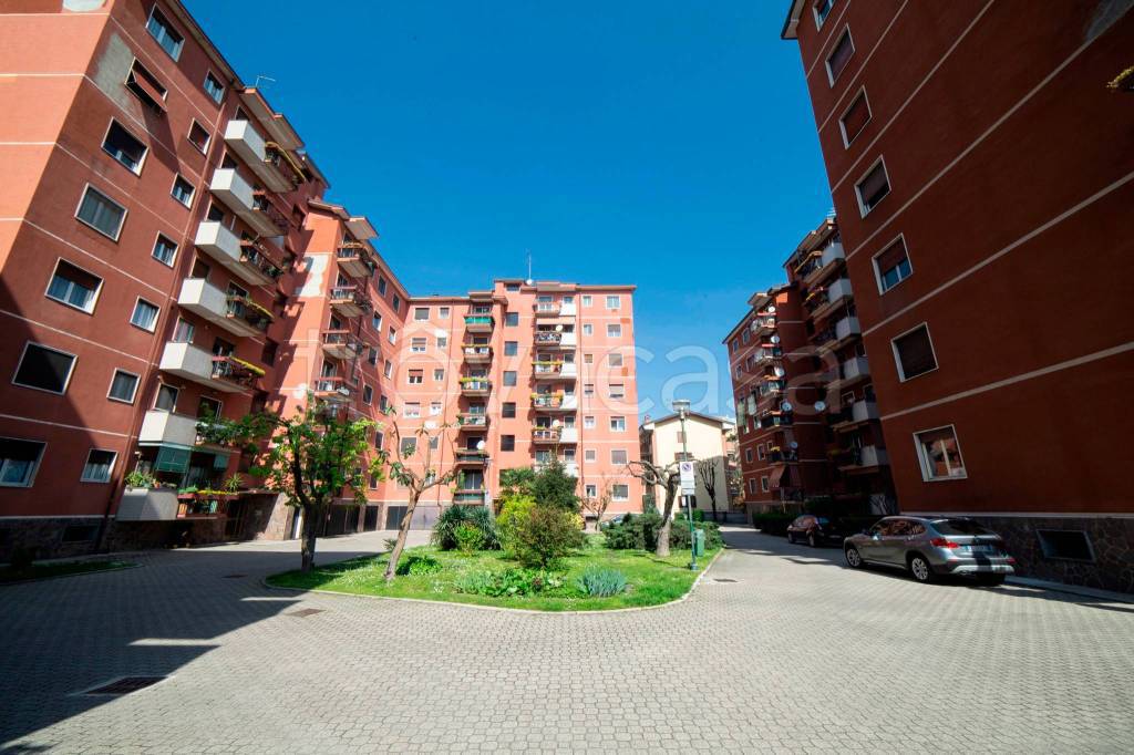 immagine annuncio 11 di 14