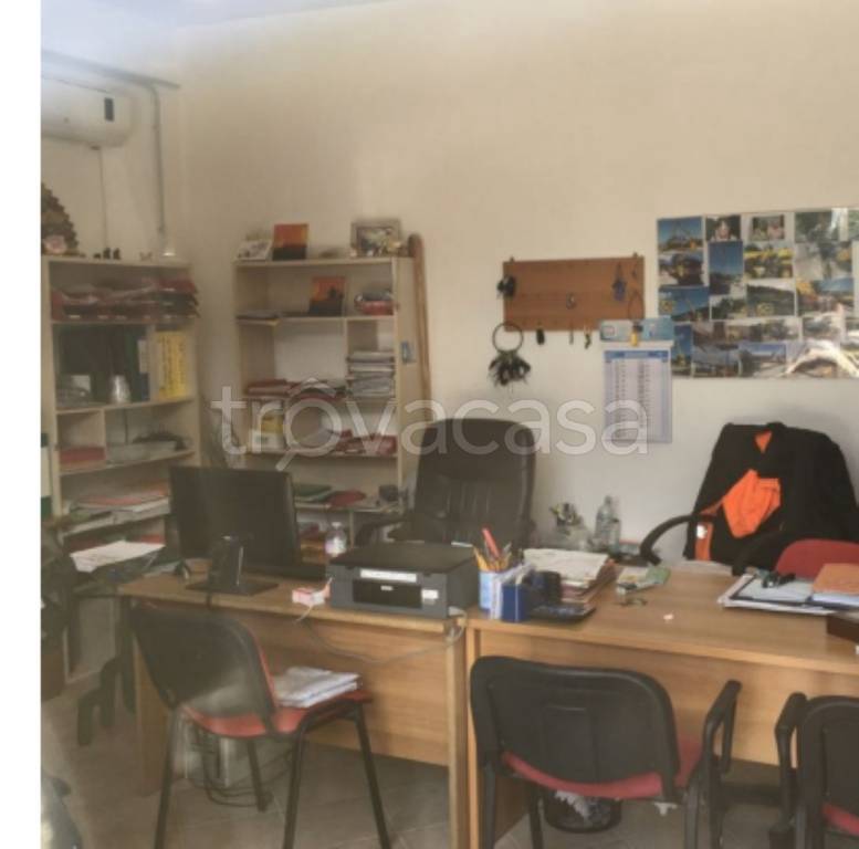 immagine annuncio 6 di 12