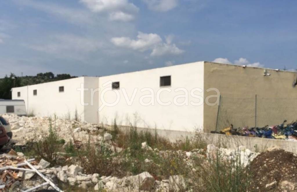 immagine annuncio 8 di 12