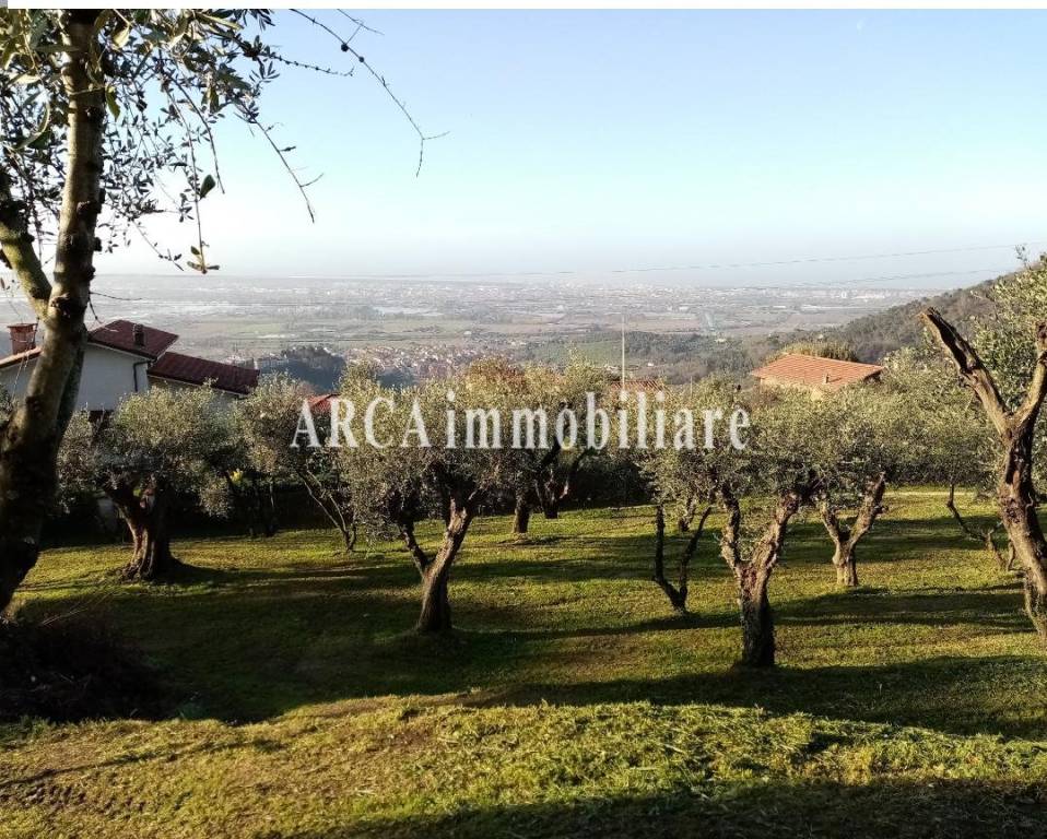 immagine annuncio 2 di 7