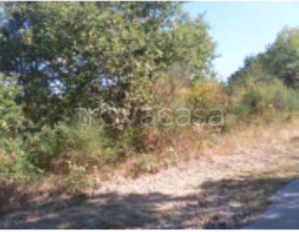 immagine annuncio 9 di 11