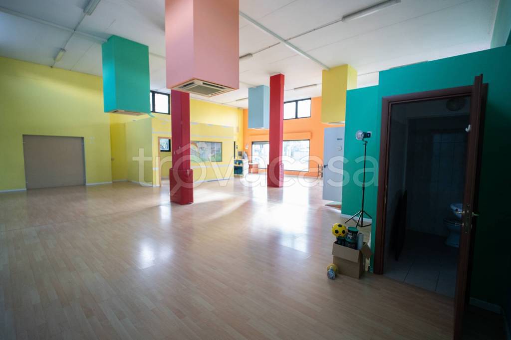 immagine annuncio 11 di 15