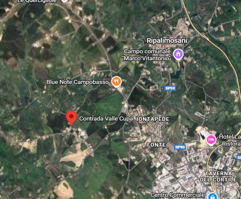 immagine annuncio 3 di 9