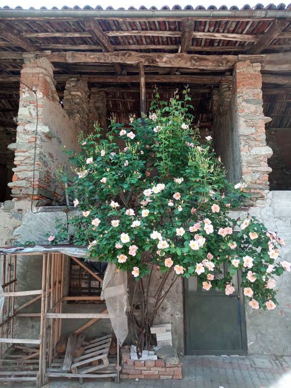 immagine annuncio 6 di 11