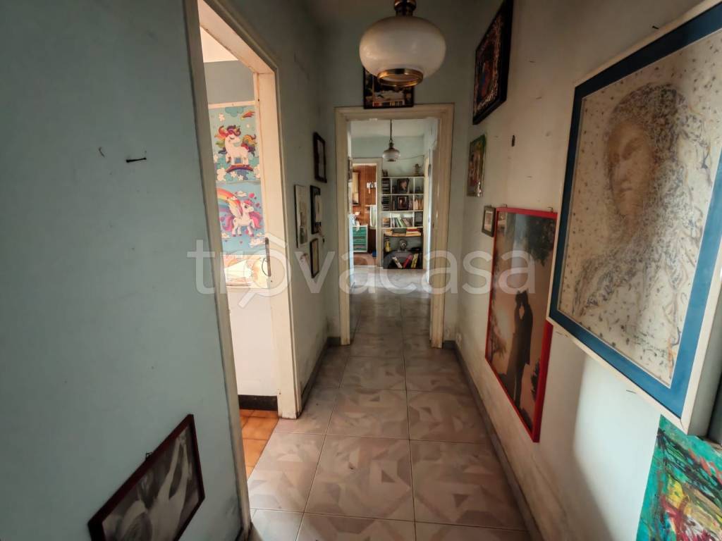 immagine annuncio 6 di 13