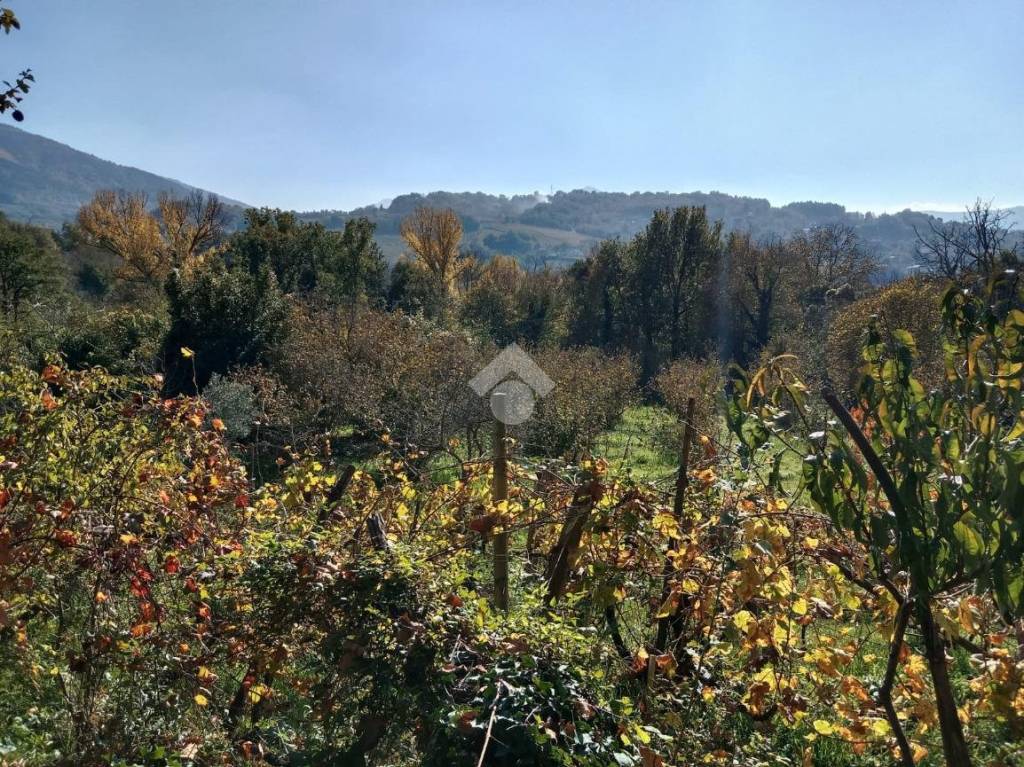 immagine annuncio 2 di 12