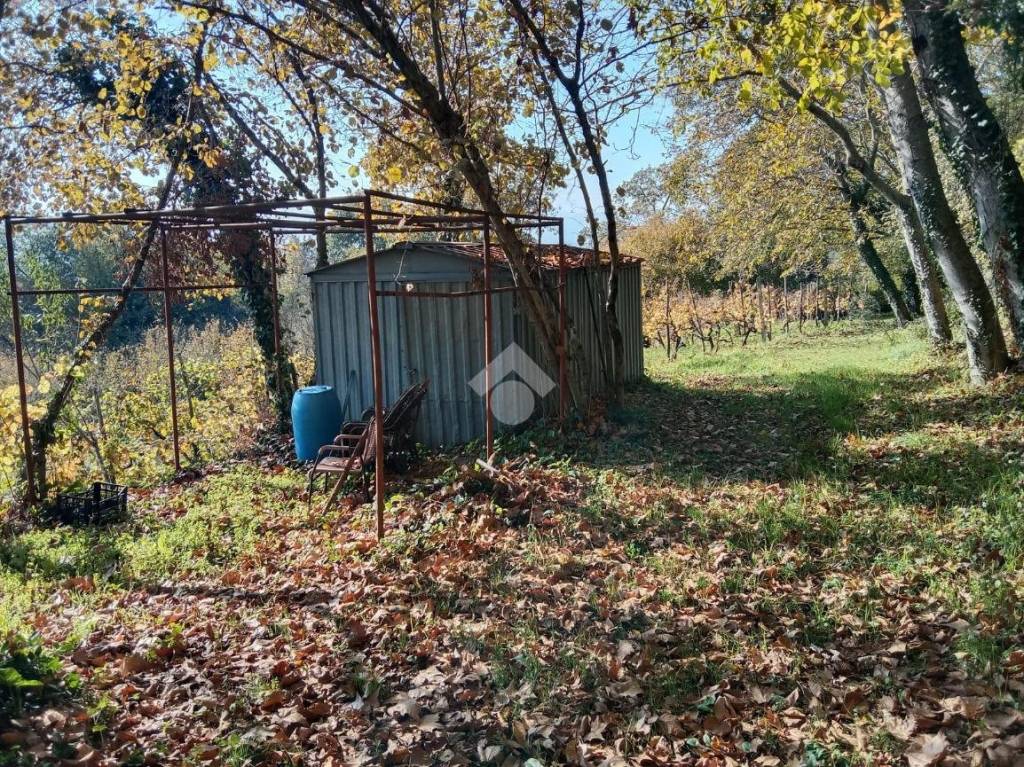 immagine annuncio 3 di 12