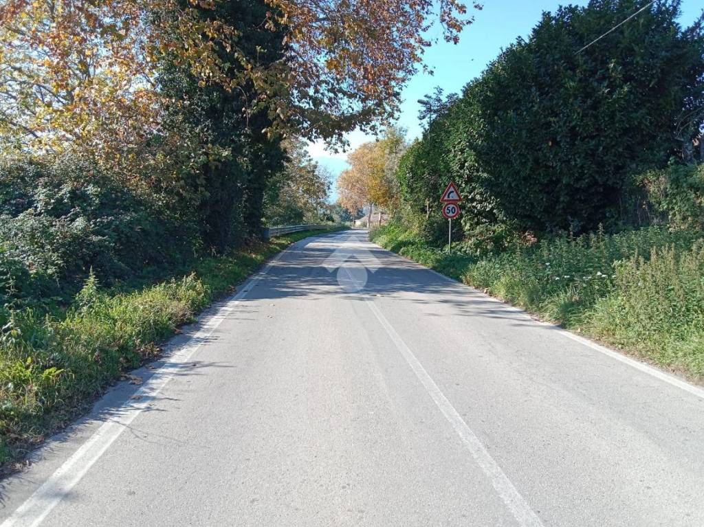 immagine annuncio 8 di 12