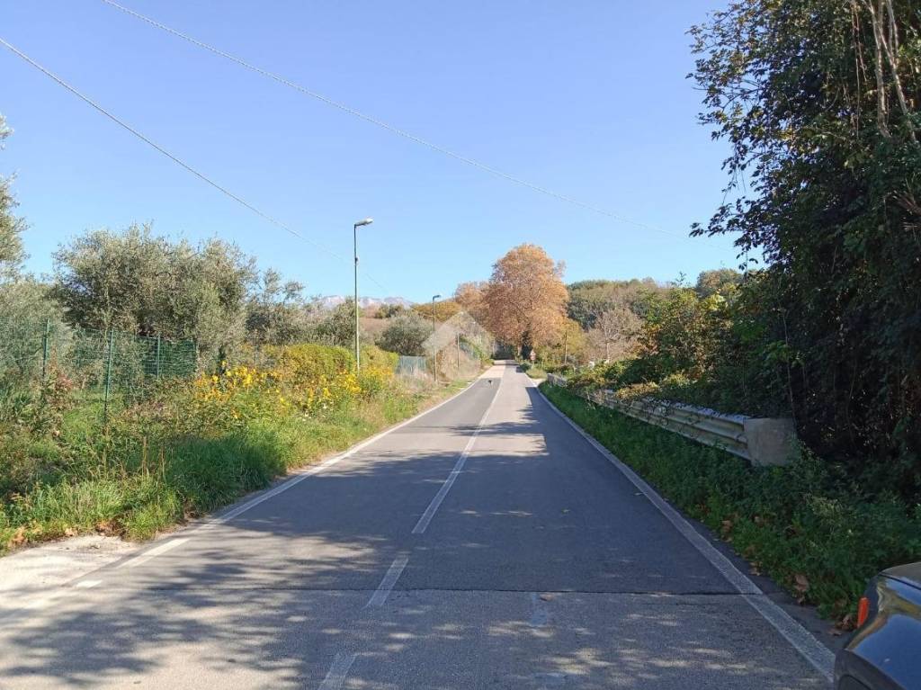 immagine annuncio 9 di 12