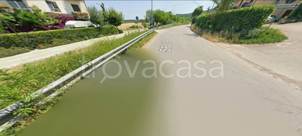 immagine annuncio 3 di 12