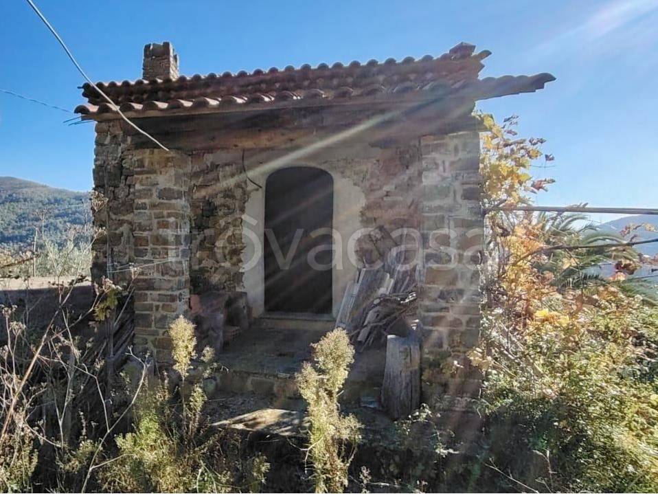 immagine annuncio 4 di 8