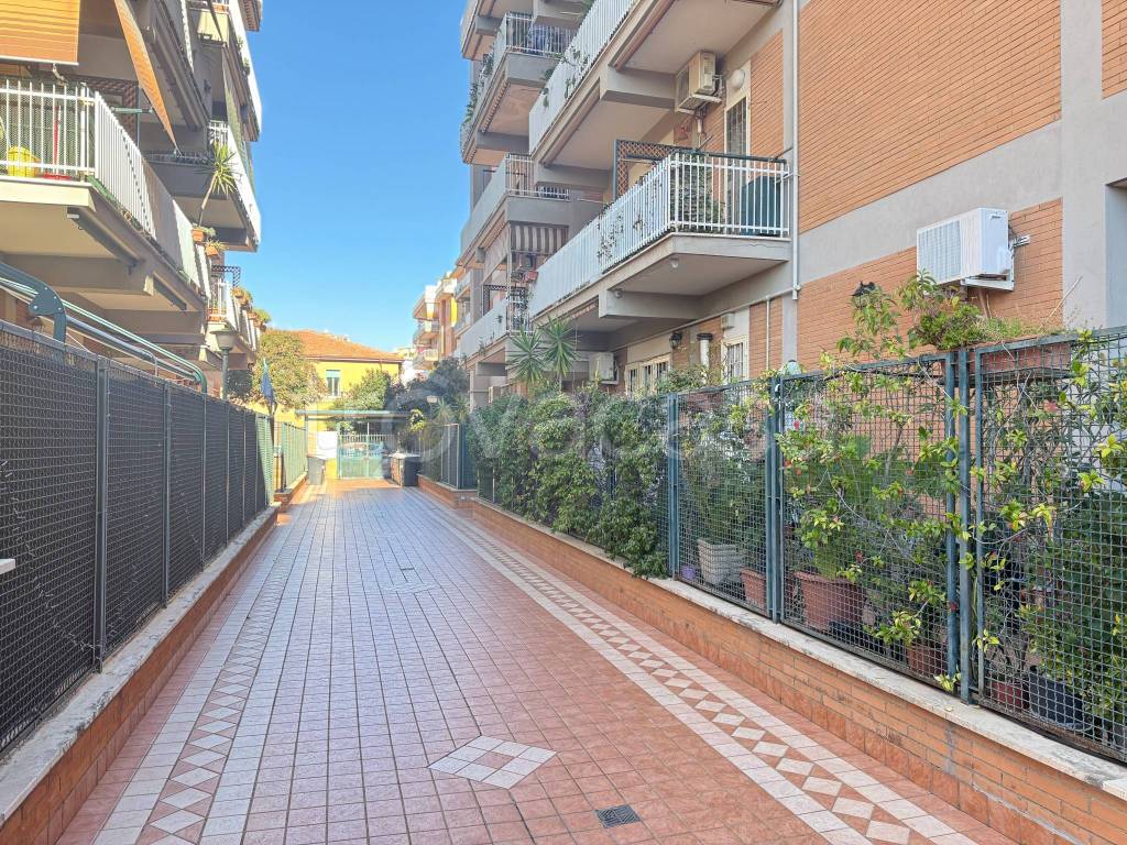 immagine annuncio 2 di 6