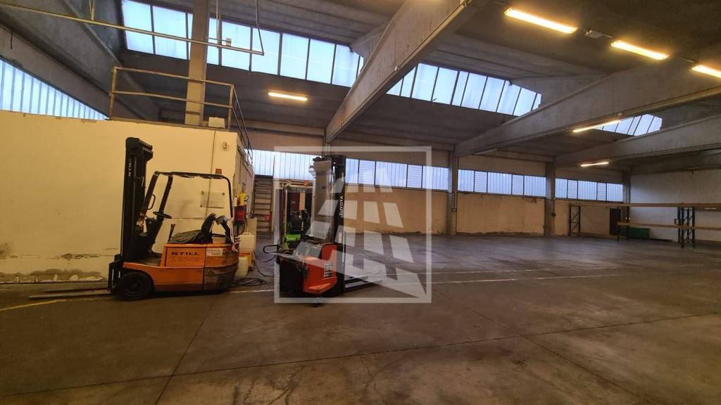 immagine annuncio 9 di 15