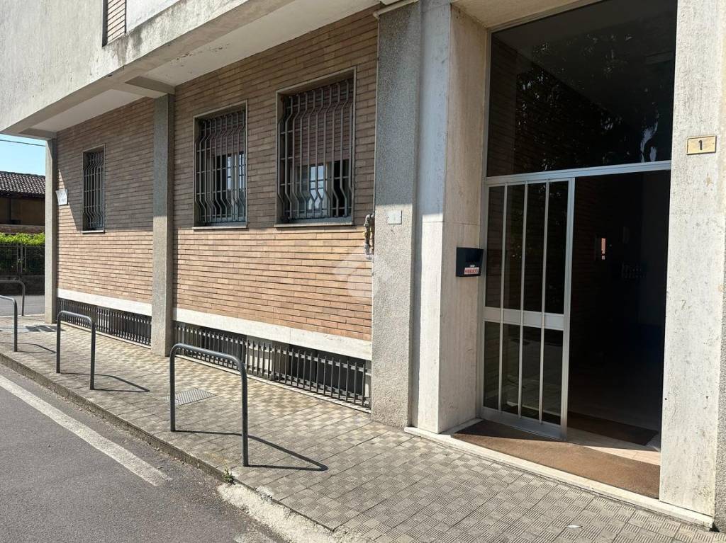 immagine annuncio 7 di 15