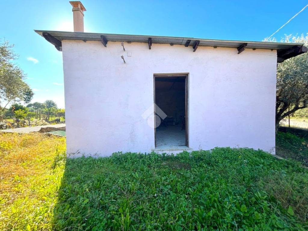 immagine annuncio 1 di 14