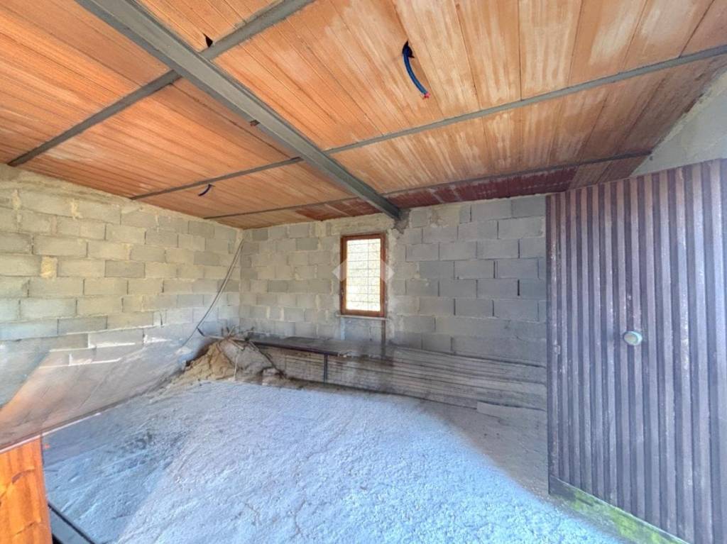 immagine annuncio 4 di 14