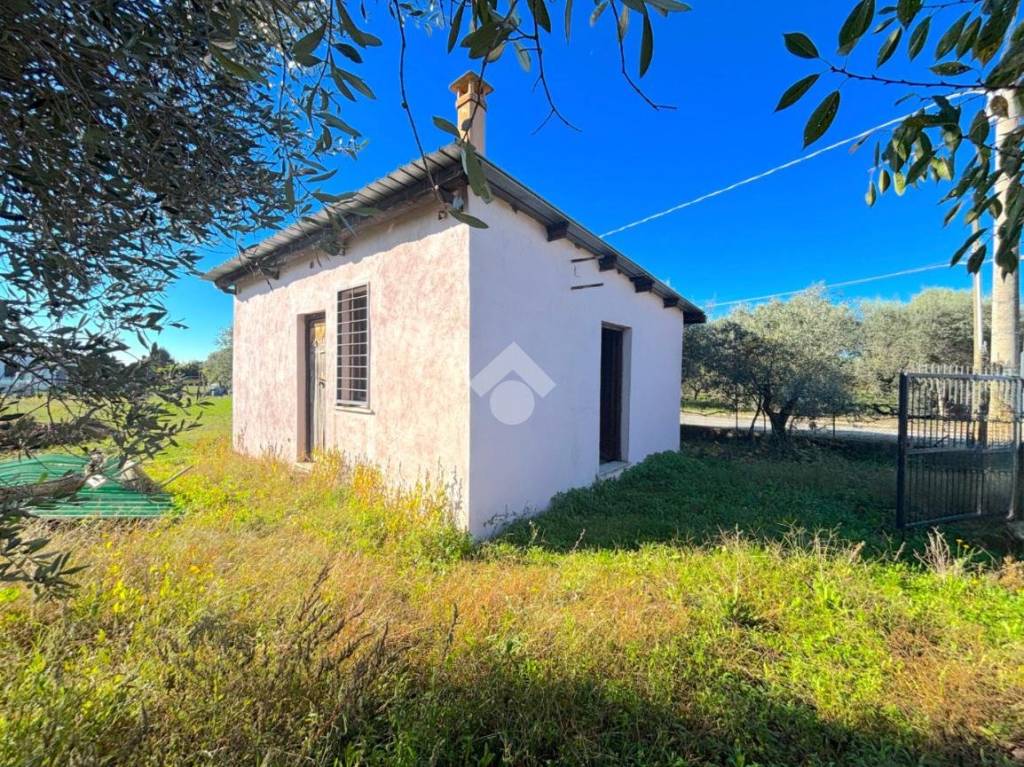 immagine annuncio 6 di 14