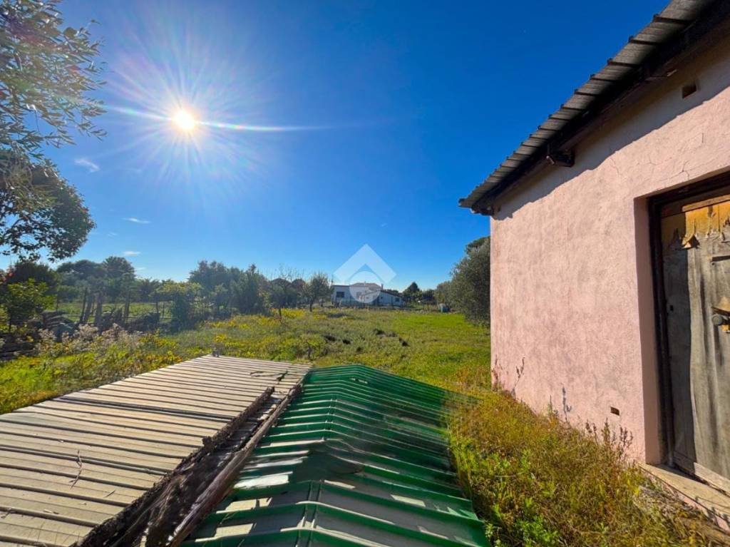 immagine annuncio 7 di 14