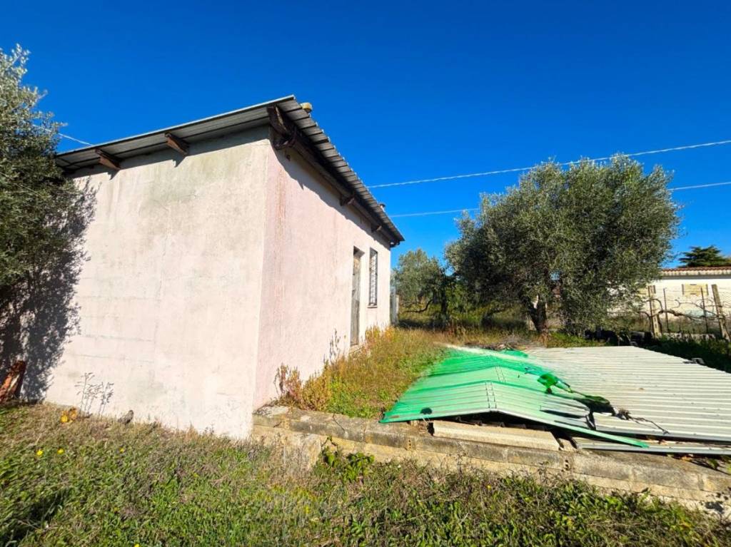 immagine annuncio 8 di 14