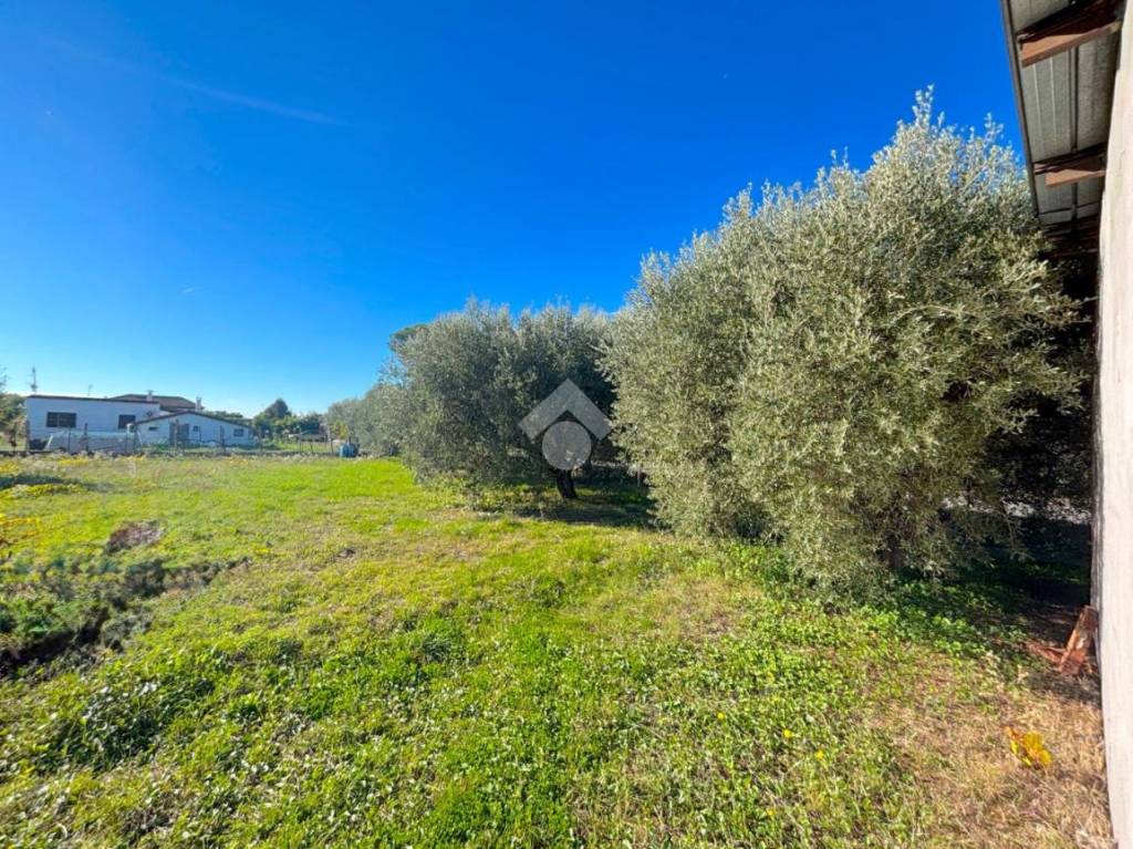 immagine annuncio 11 di 14