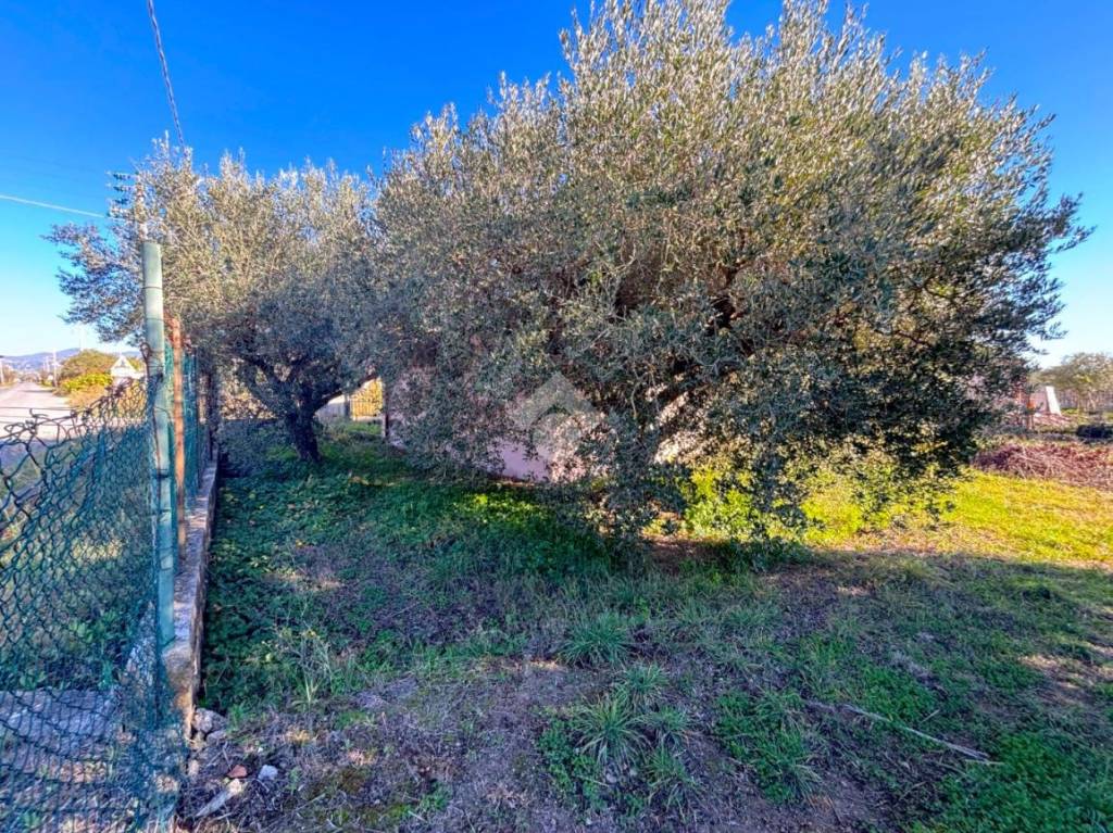 immagine annuncio 12 di 14