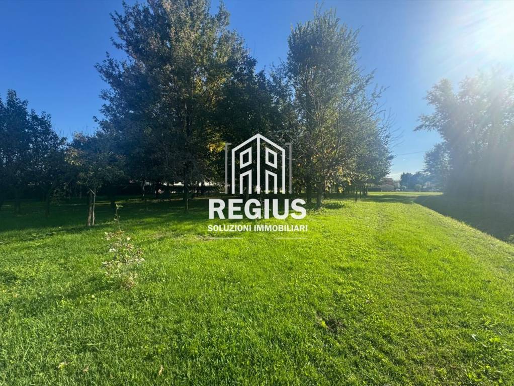 immagine annuncio 7 di 8