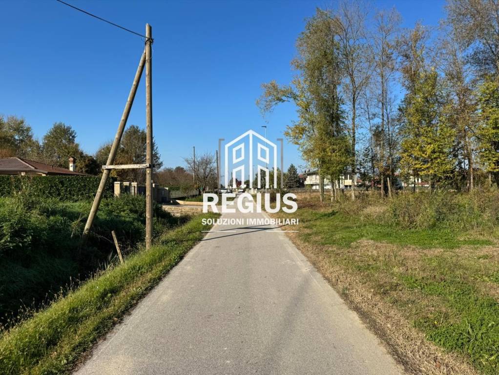 immagine annuncio 4 di 8