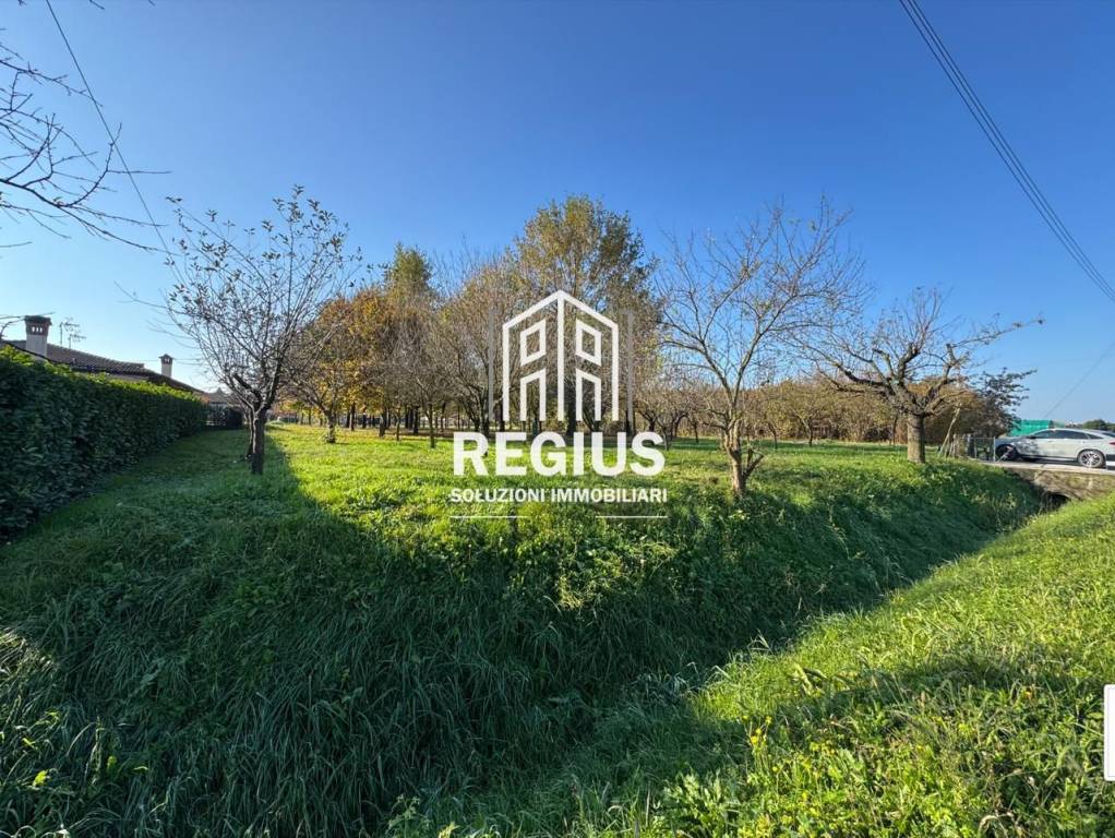 immagine annuncio 6 di 8