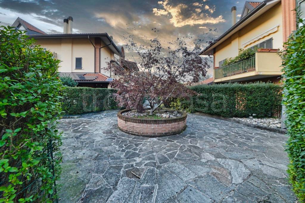 immagine annuncio 5 di 15