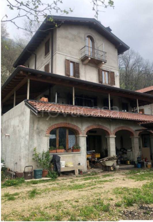 immagine annuncio 2 di 11