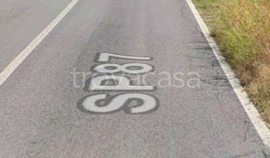 immagine annuncio 10 di 11