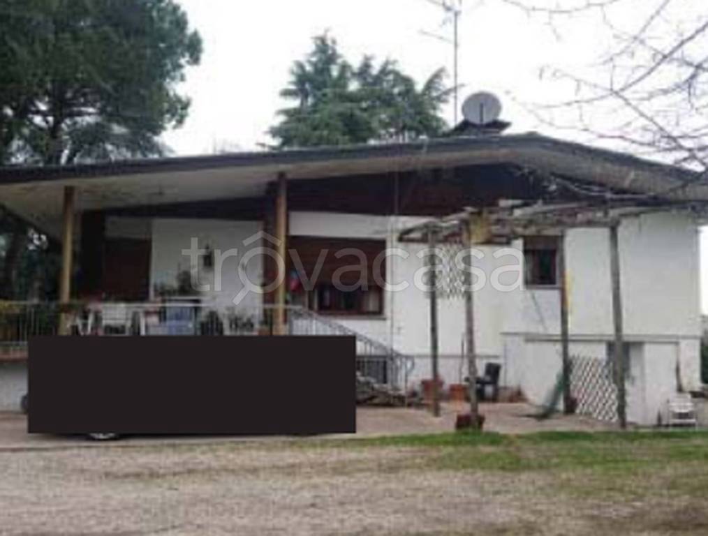 immagine annuncio 4 di 12