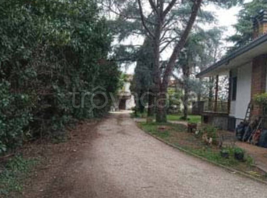 immagine annuncio 5 di 12