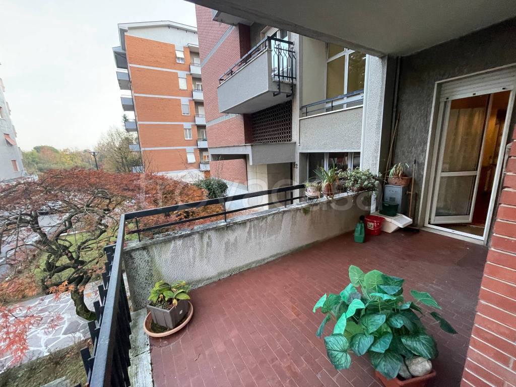 immagine annuncio 6 di 15