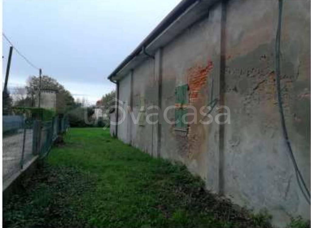 immagine annuncio 7 di 11