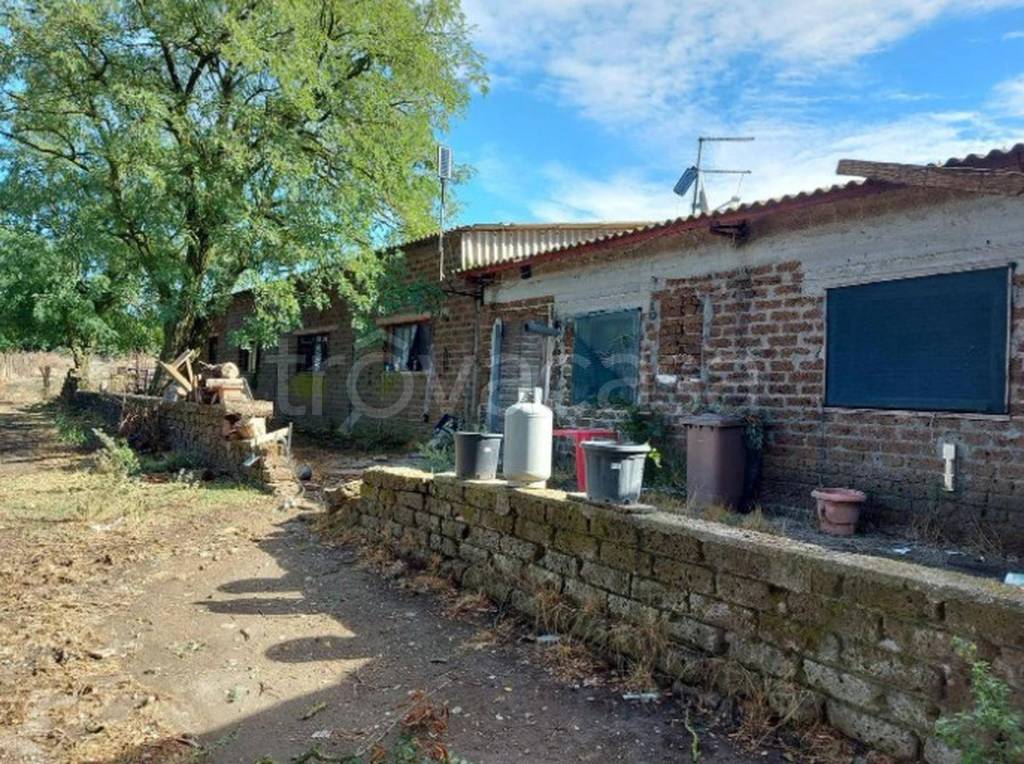 immagine annuncio 8 di 13