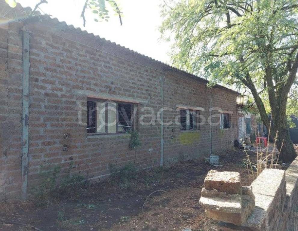 immagine annuncio 9 di 13