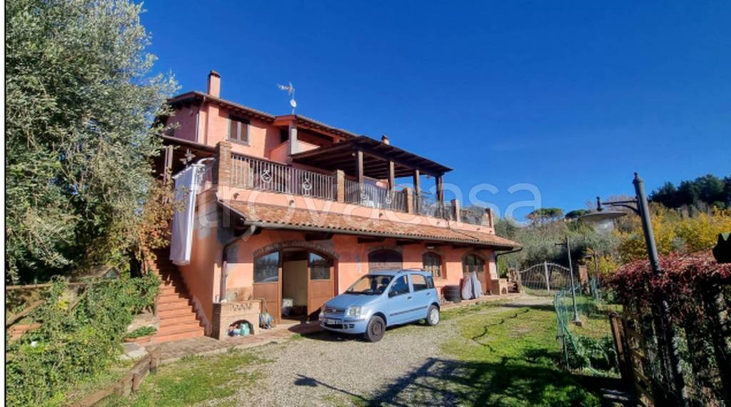 immagine annuncio 3 di 11