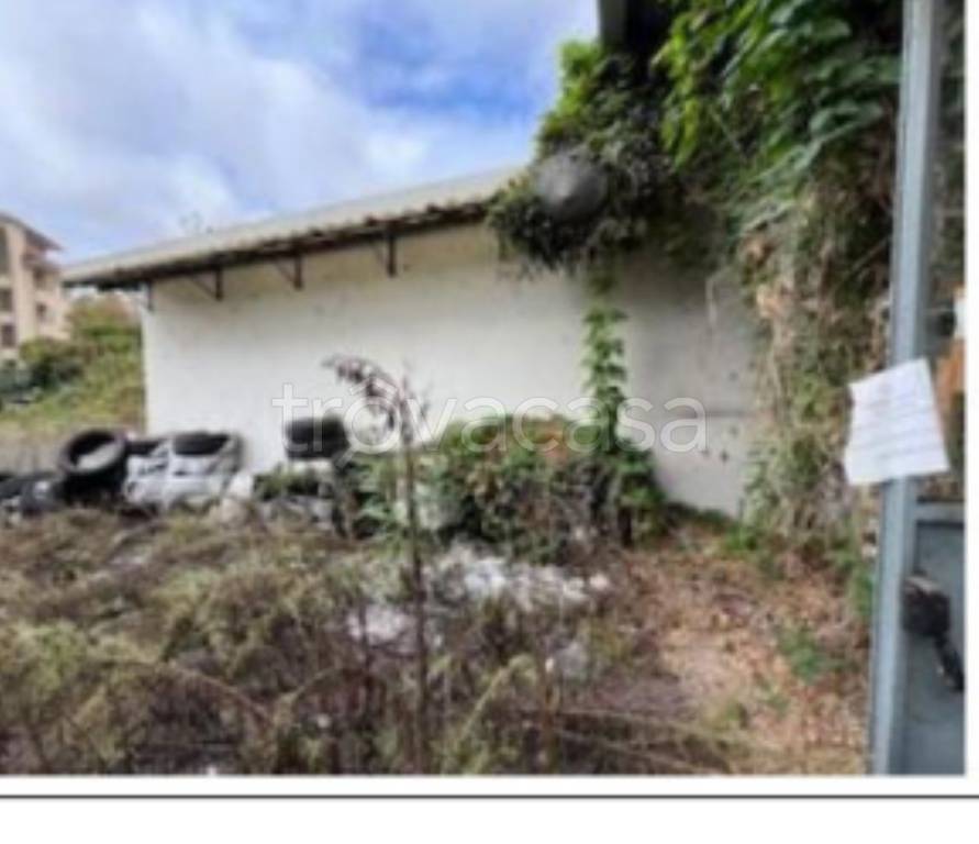 immagine annuncio 5 di 14