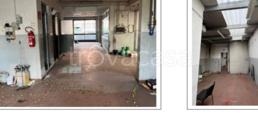 immagine annuncio 6 di 14