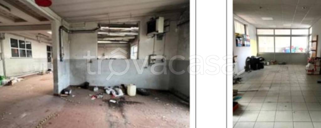 immagine annuncio 7 di 14