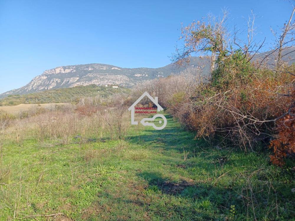 immagine annuncio 2 di 14