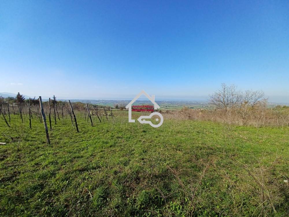 immagine annuncio 4 di 14