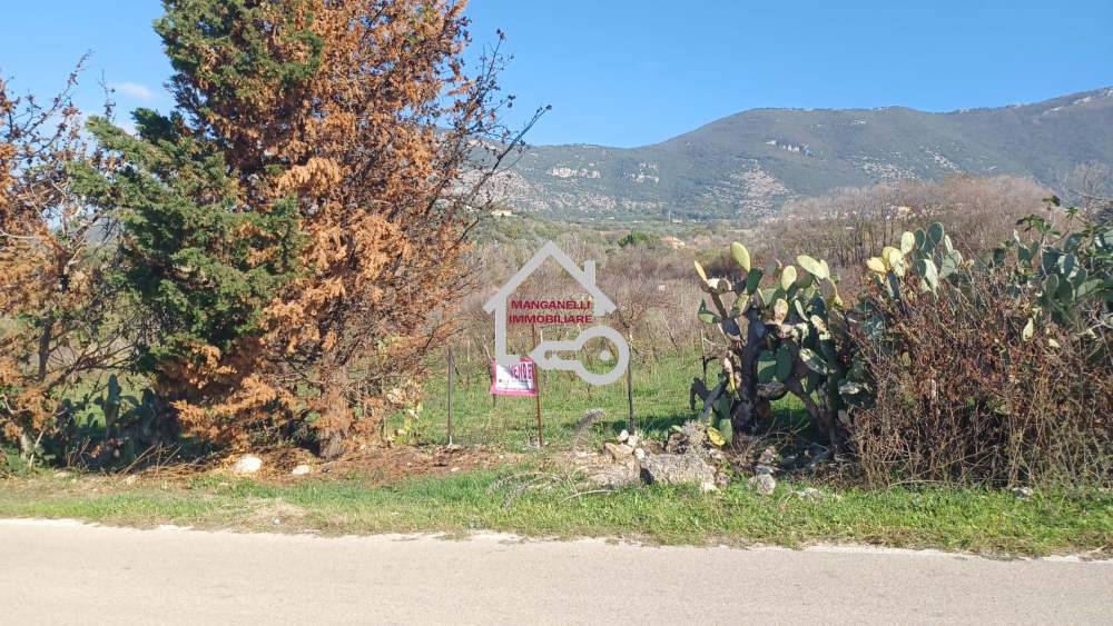 immagine annuncio 5 di 14