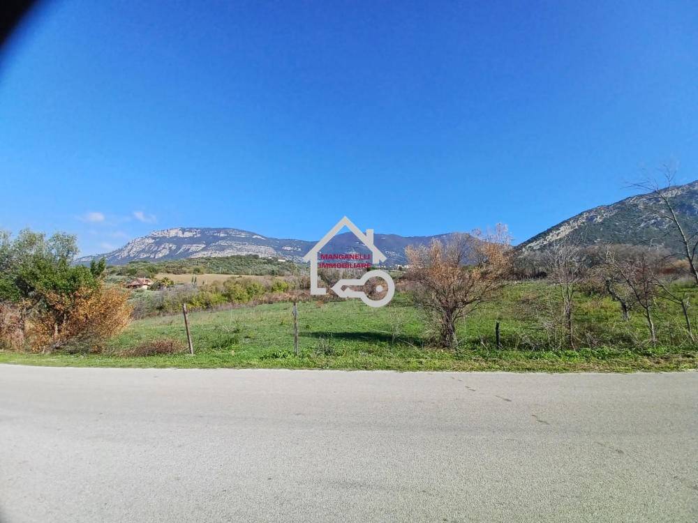 immagine annuncio 6 di 14