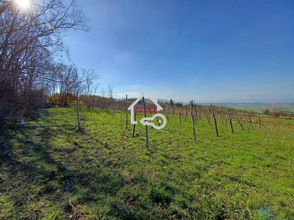 immagine annuncio 10 di 14